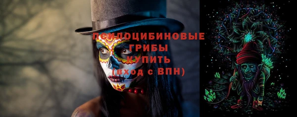 гидропоника Аркадак