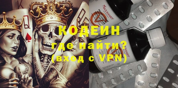 дурь Арсеньев