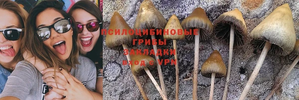 гидропоника Аркадак