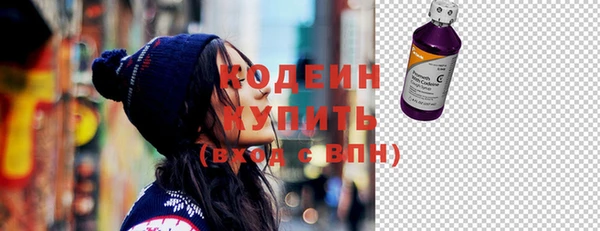 дурь Арсеньев