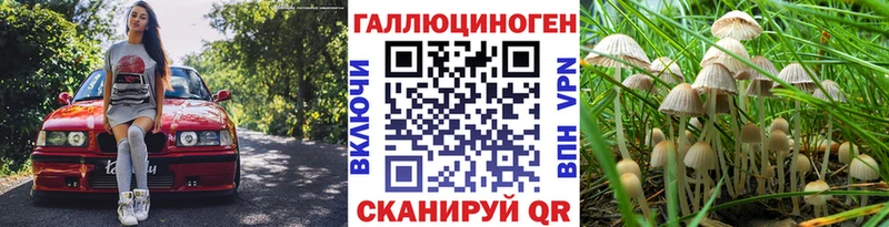 Псилоцибиновые грибы Cubensis  Ртищево 